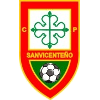 Sanvicenteno